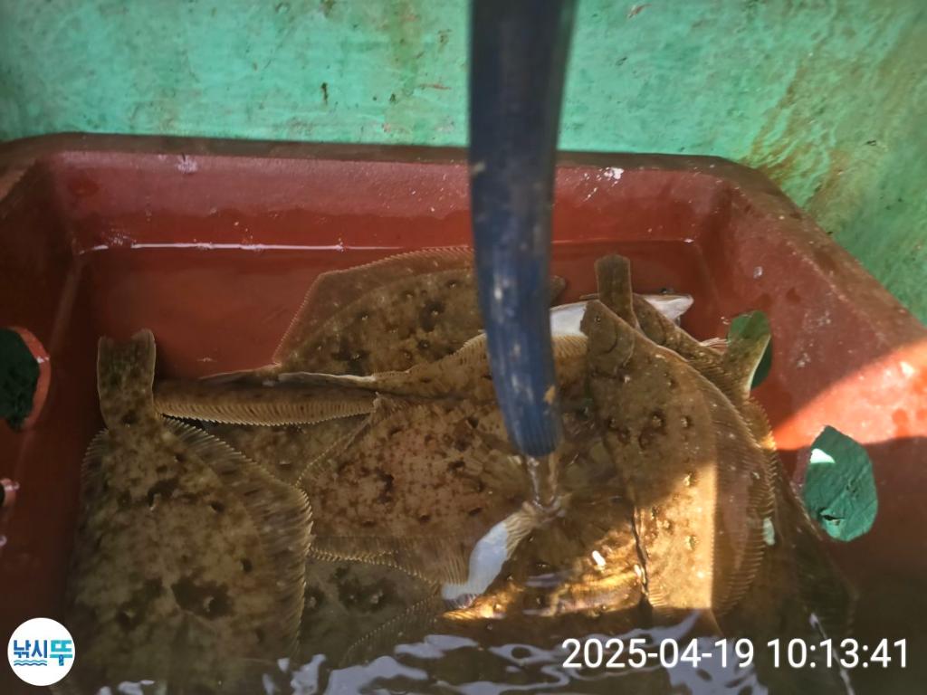 F266313210.jpg