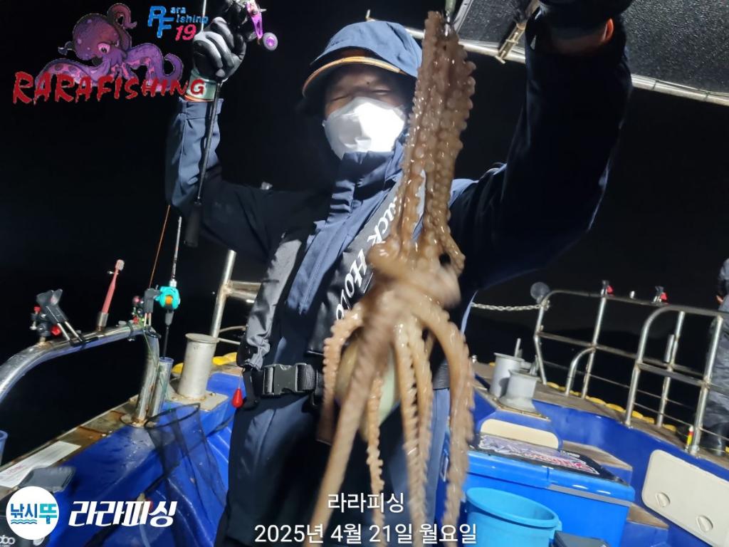 낚시뚜,낙지,속천항(진해),라라피싱,낚시뚜33