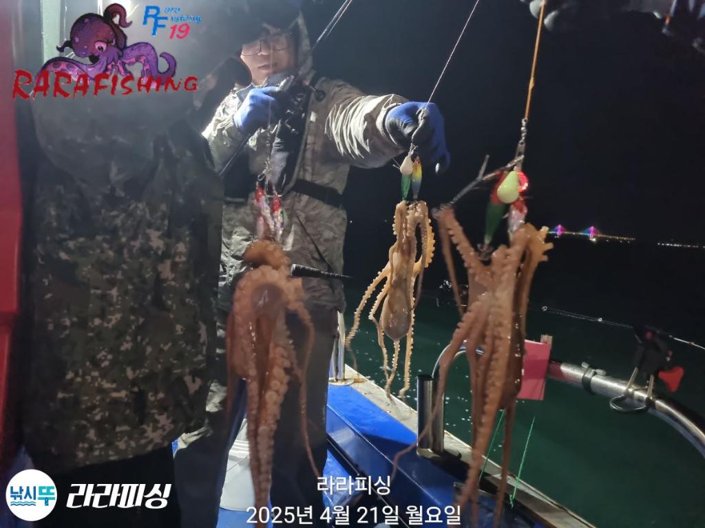 낚시뚜,낙지,속천항(진해),라라피싱,낚시뚜6