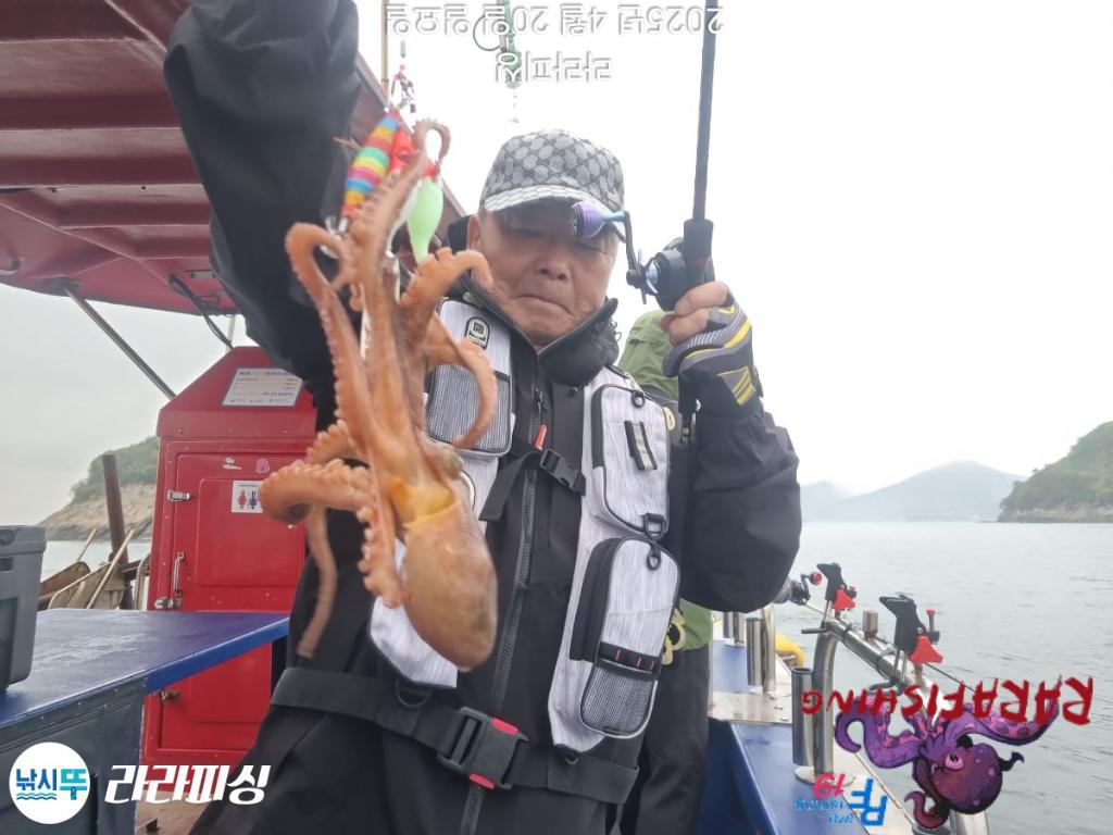 낚시뚜,돌문어,속천항(진해),라라피싱,낚시뚜10