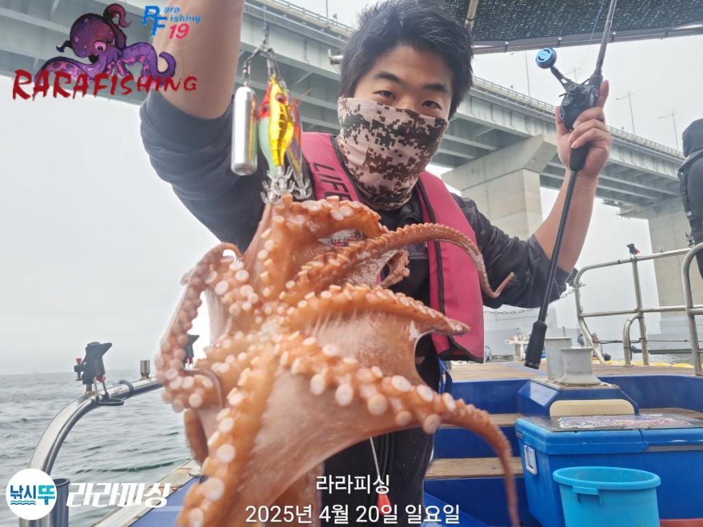 낚시뚜,돌문어,속천항(진해),라라피싱,낚시뚜1