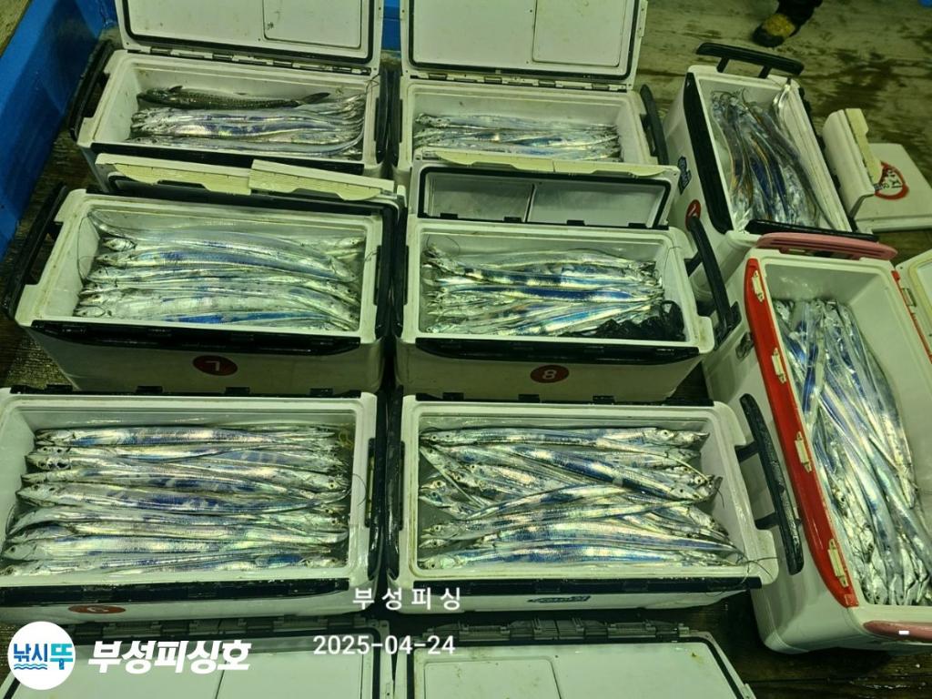 F266366360.jpg