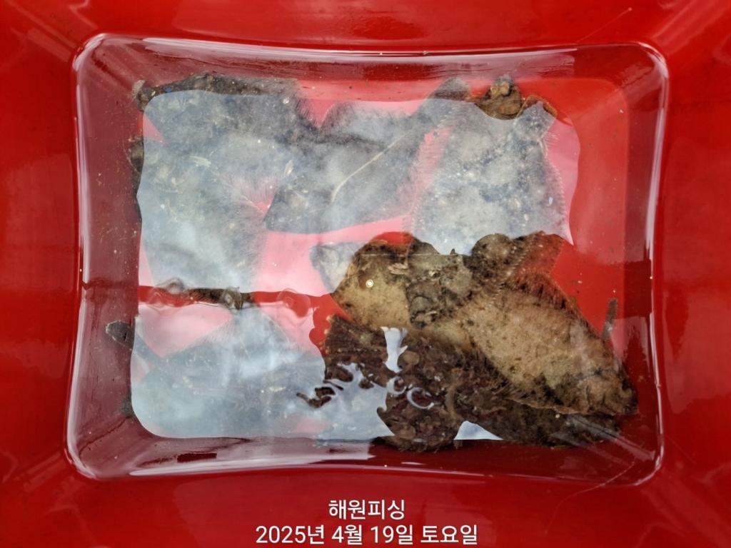 F266437791.jpg