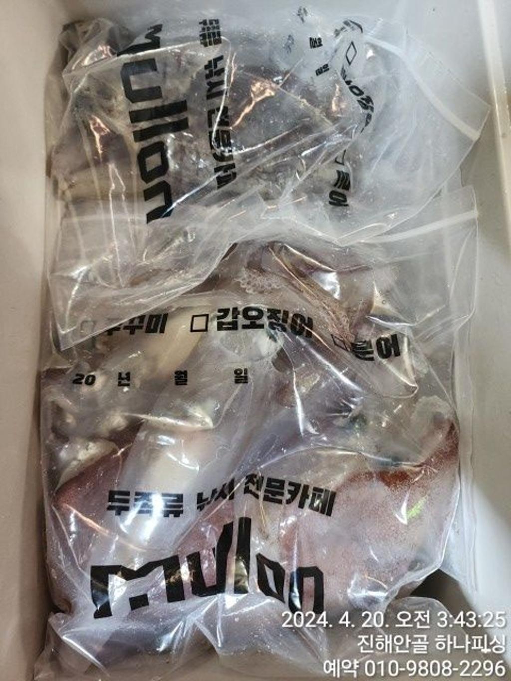 낚시뚜,한치,진해 안골항,진해 하나피싱,낚시뚜14