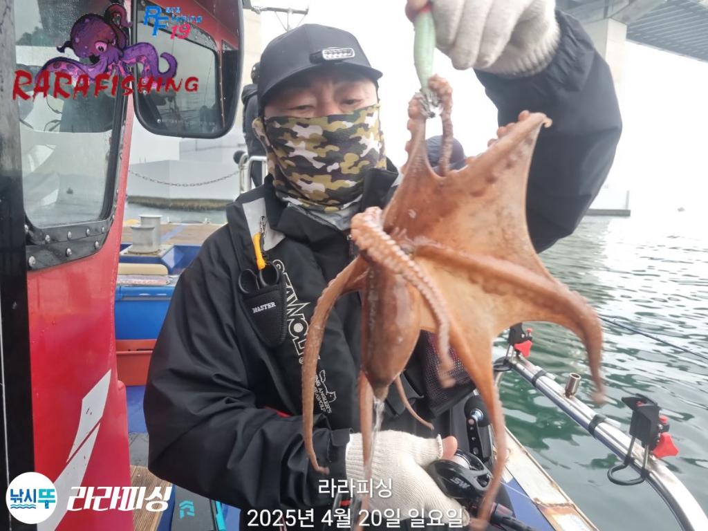 낚시뚜,돌문어,속천항(진해),라라피싱,낚시뚜9