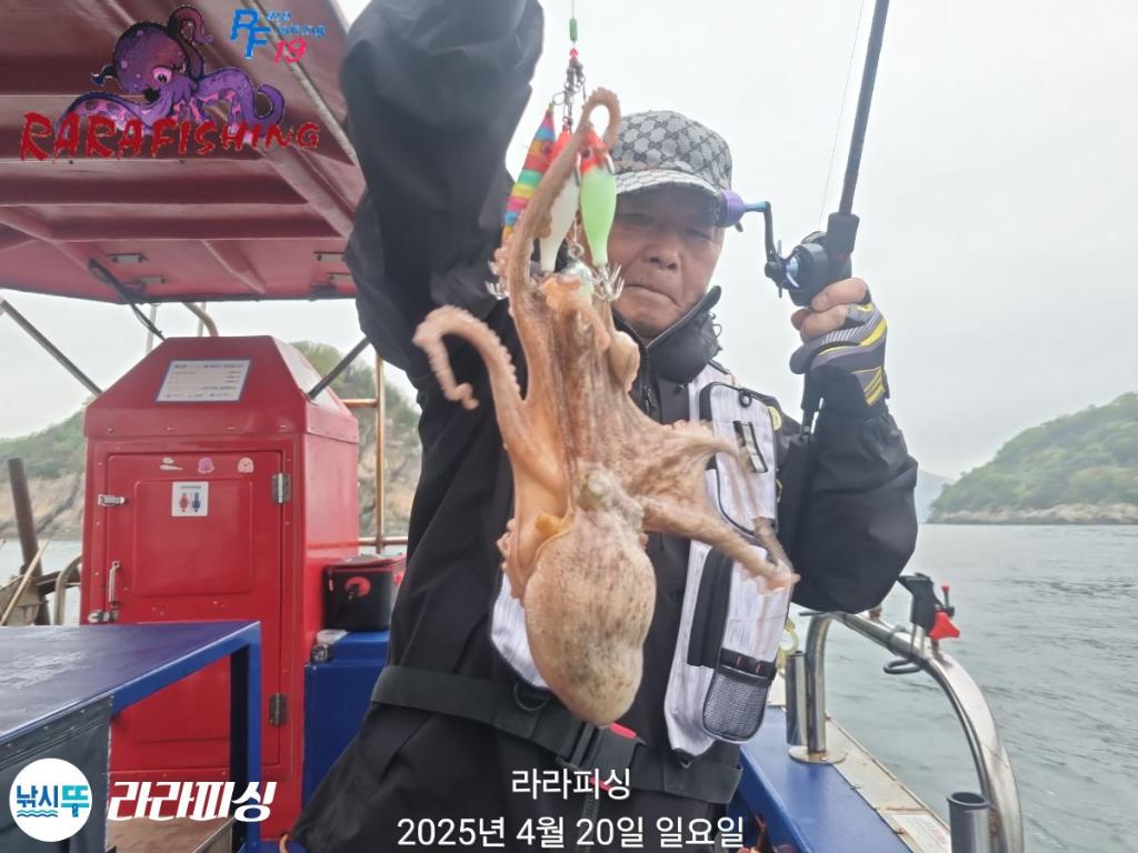 낚시뚜,돌문어,속천항(진해),라라피싱,낚시뚜8