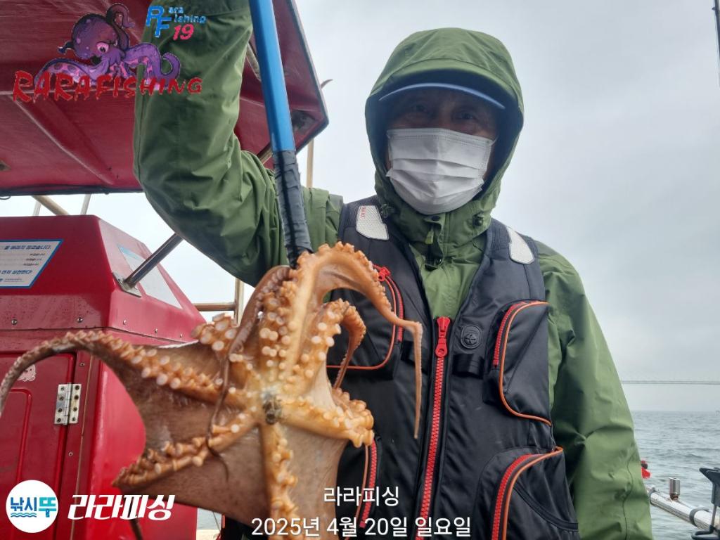 낚시뚜,돌문어,속천항(진해),라라피싱,낚시뚜5