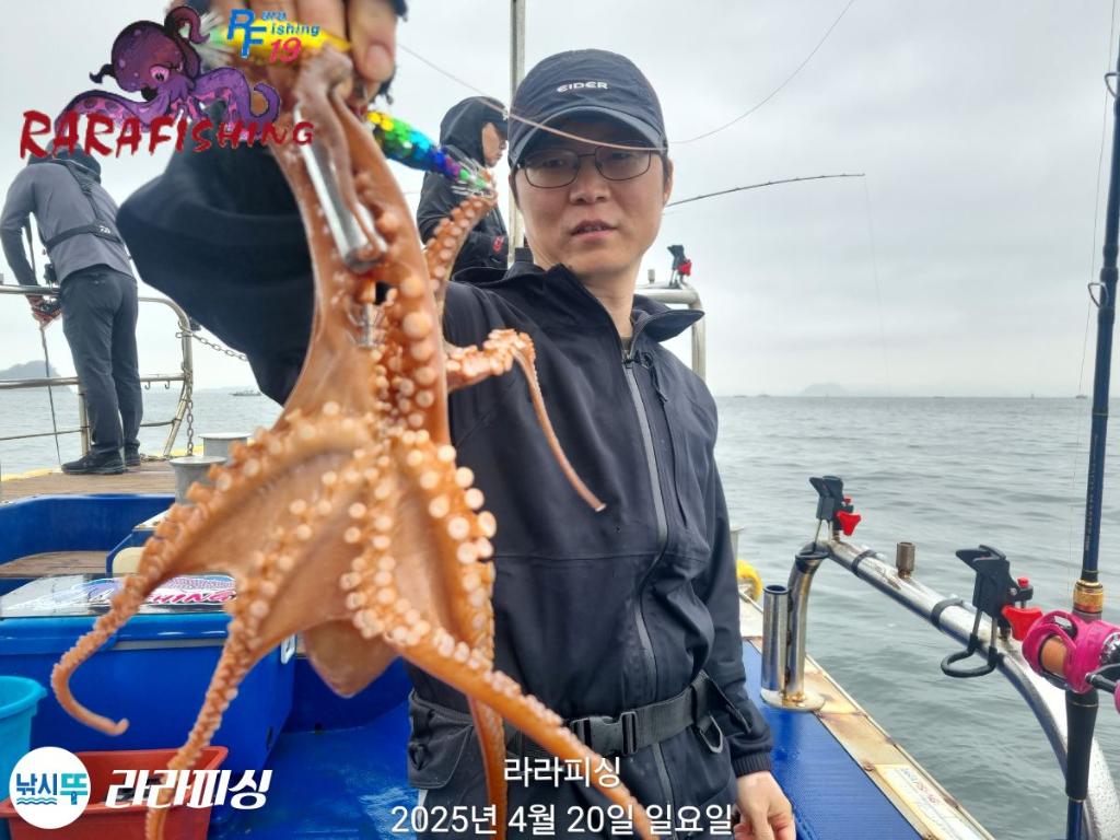 낚시뚜,돌문어,속천항(진해),라라피싱,낚시뚜4