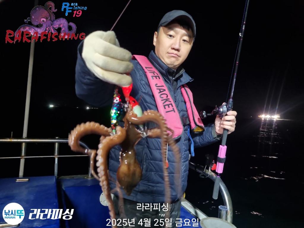 낚시뚜,낙지,속천항(진해),라라피싱,낚시뚜19
