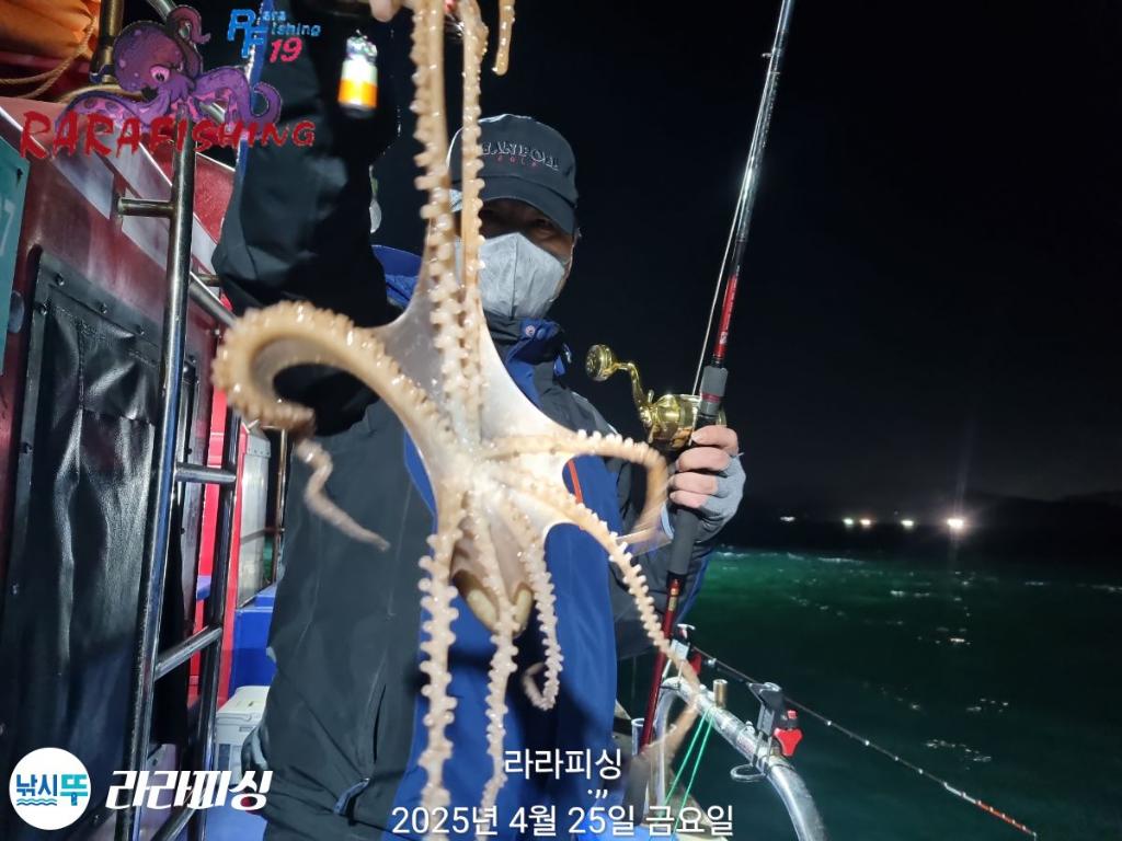 낚시뚜,낙지,속천항(진해),라라피싱,낚시뚜15
