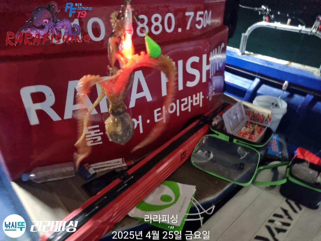 낚시뚜,낙지,속천항(진해),라라피싱,낚시뚜8