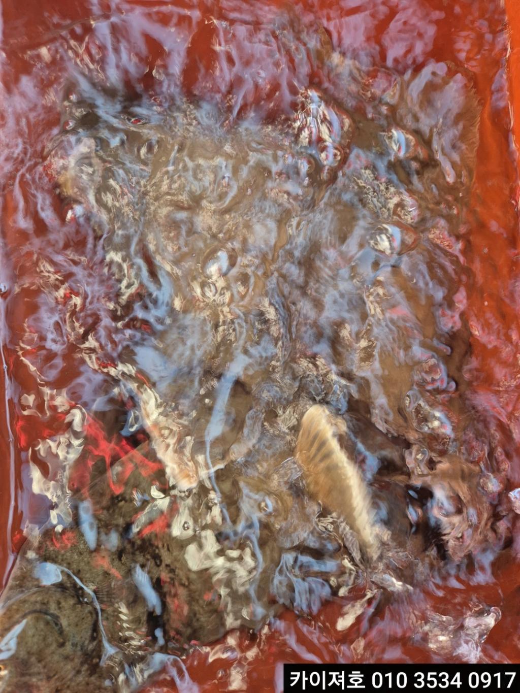 낚시뚜,기타 (직접입력),영일만항,포항카이져호,낚시뚜19