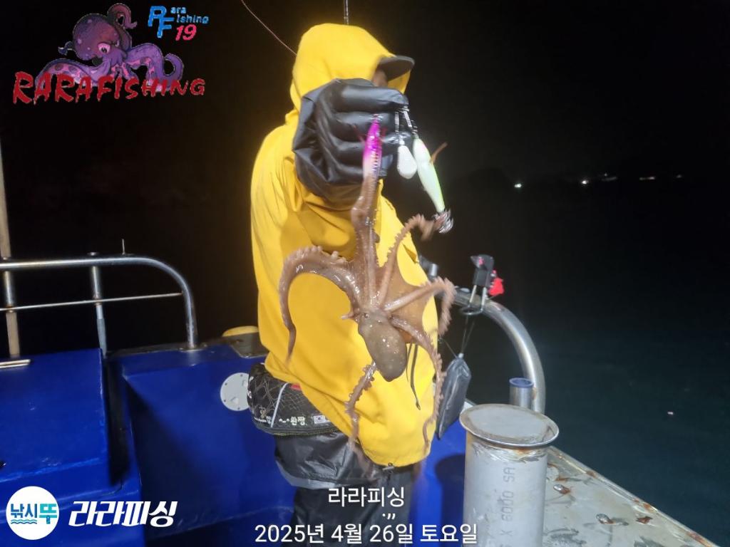 낚시뚜,낙지,속천항(진해),라라피싱,낚시뚜8