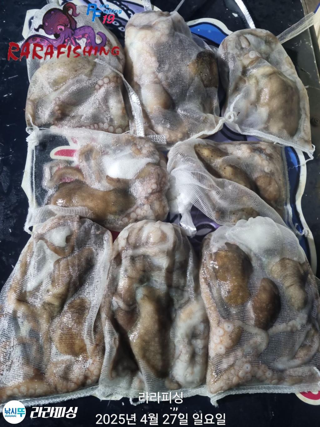 낚시뚜,낙지,속천항(진해),라라피싱,낚시뚜2