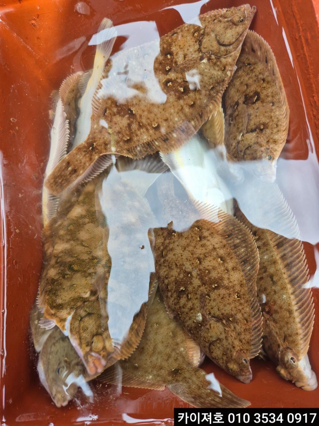 낚시뚜,기타 (직접입력),영일만항,포항카이져호,낚시뚜18