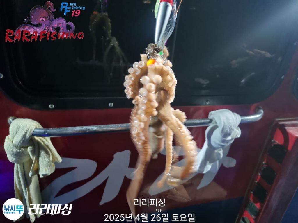 낚시뚜,낙지,속천항(진해),라라피싱,낚시뚜7