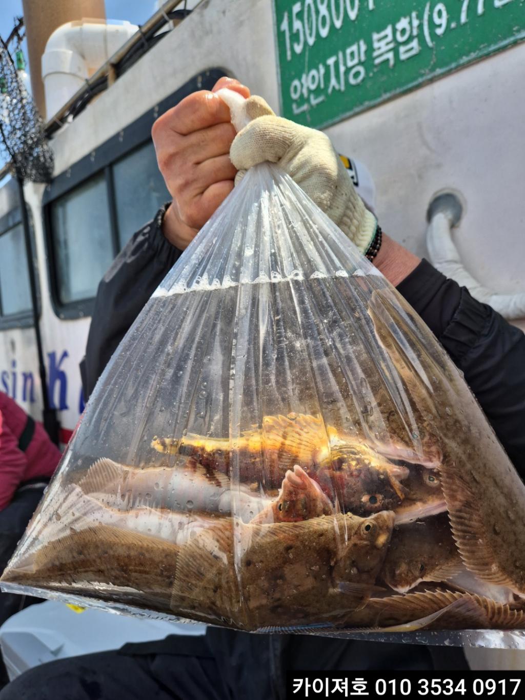 낚시뚜,기타 (직접입력),영일만항,포항카이져호,낚시뚜1