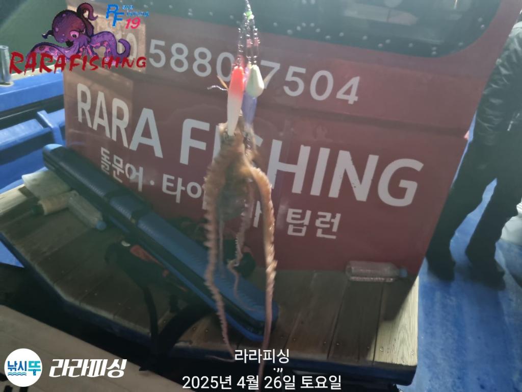 낚시뚜,낙지,속천항(진해),라라피싱,낚시뚜6