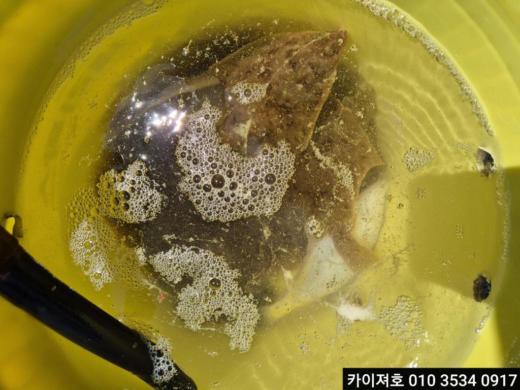 낚시뚜,기타 (직접입력),영일만항,포항카이져호,낚시뚜14