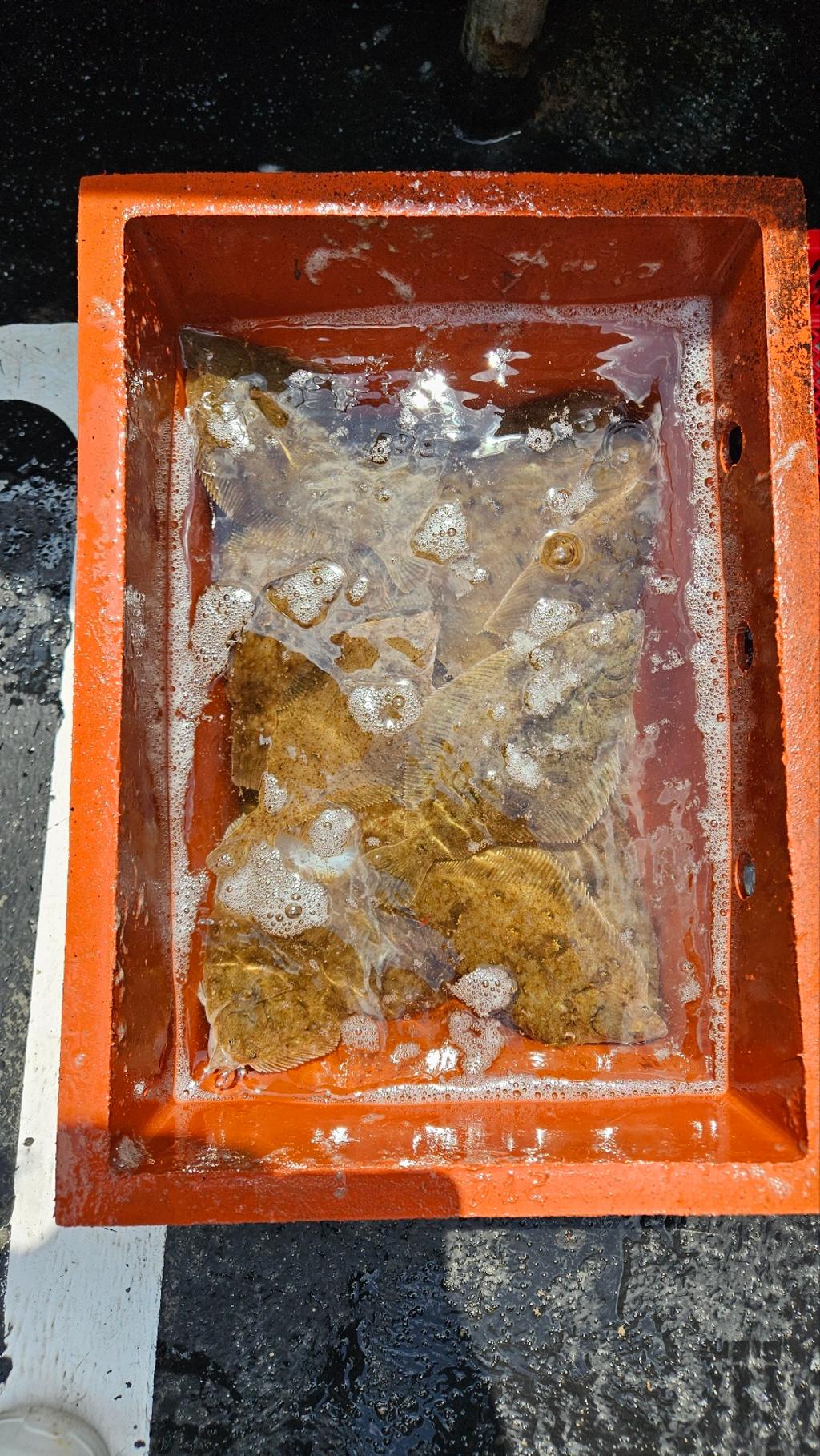 F2667631RC.jpg
