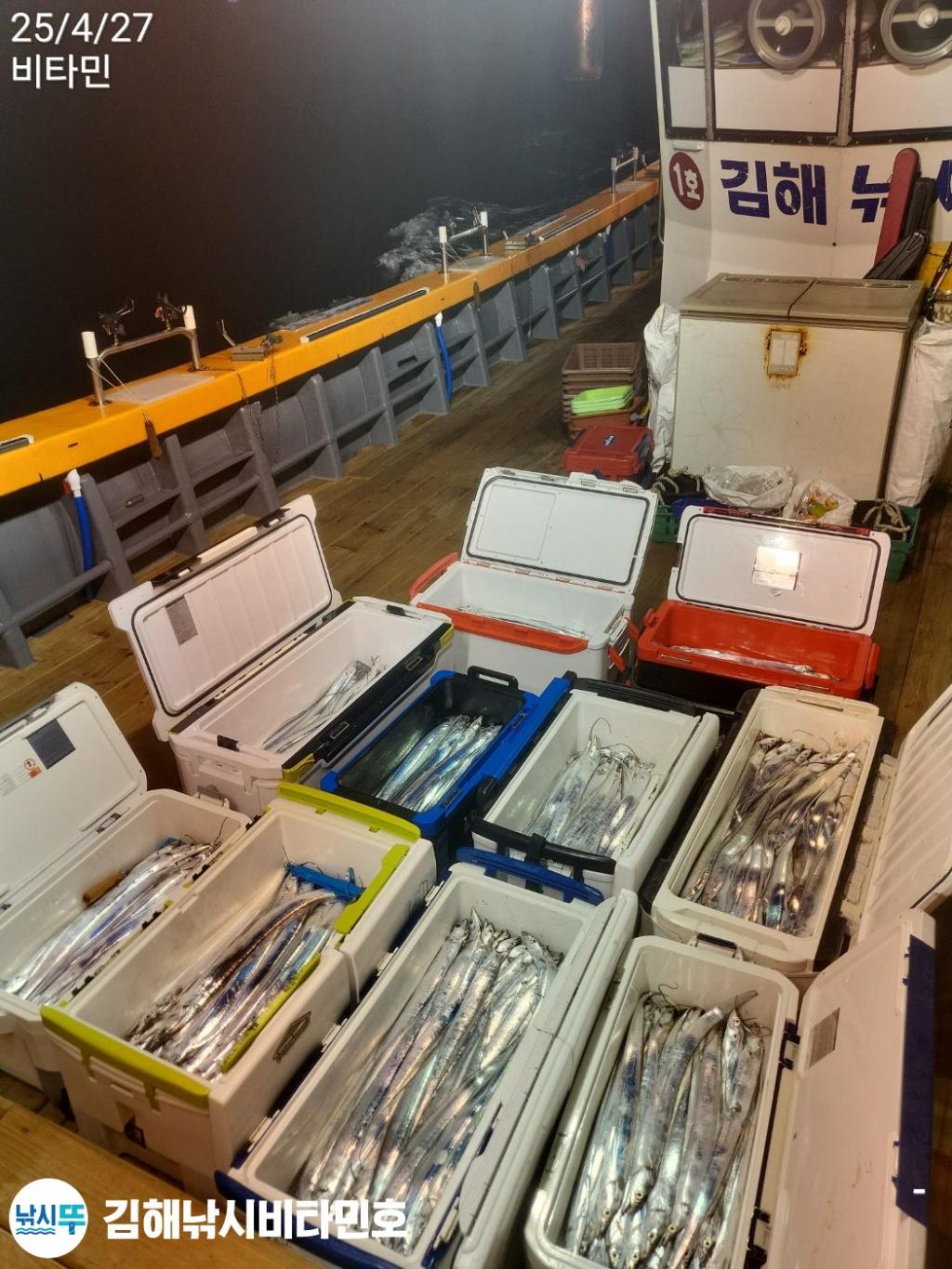 낚시뚜,갈치,한치,진해 안골항,김해낚시 비타민호,낚시뚜10