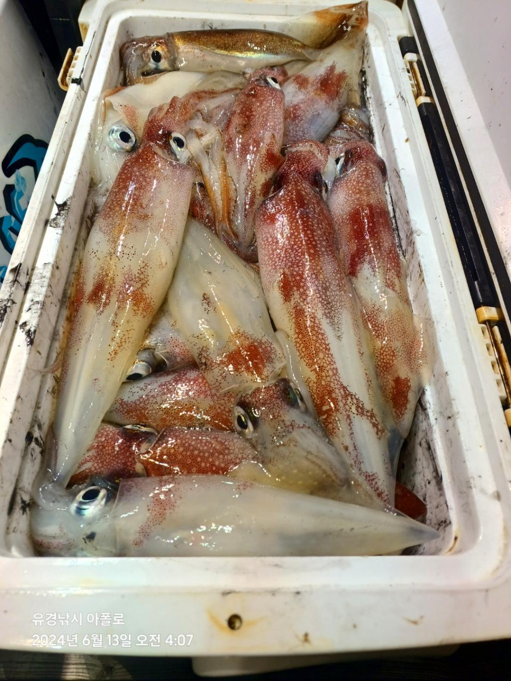 F2668033DW.jpg