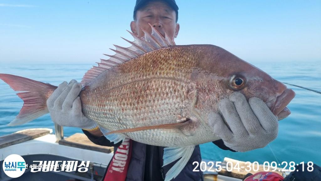 F2668040UB.jpg