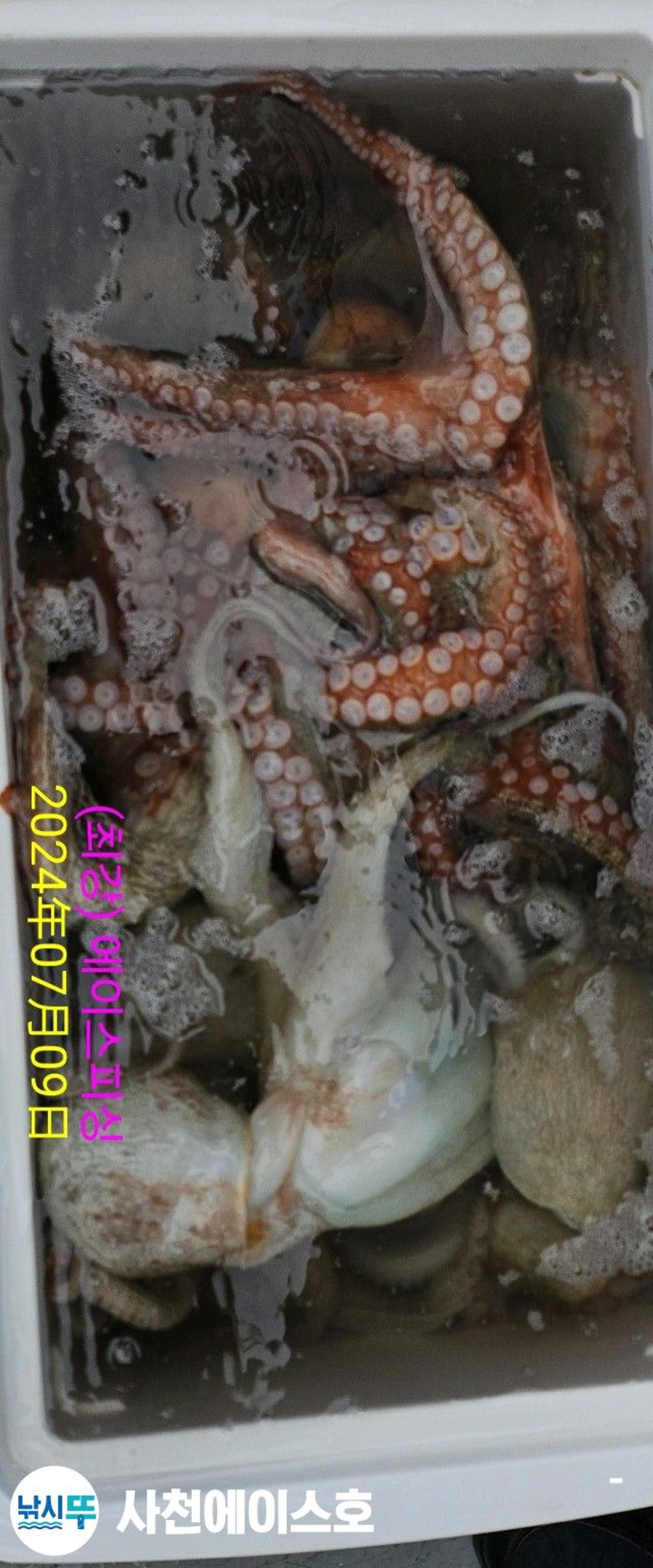 F2668047IN.jpg