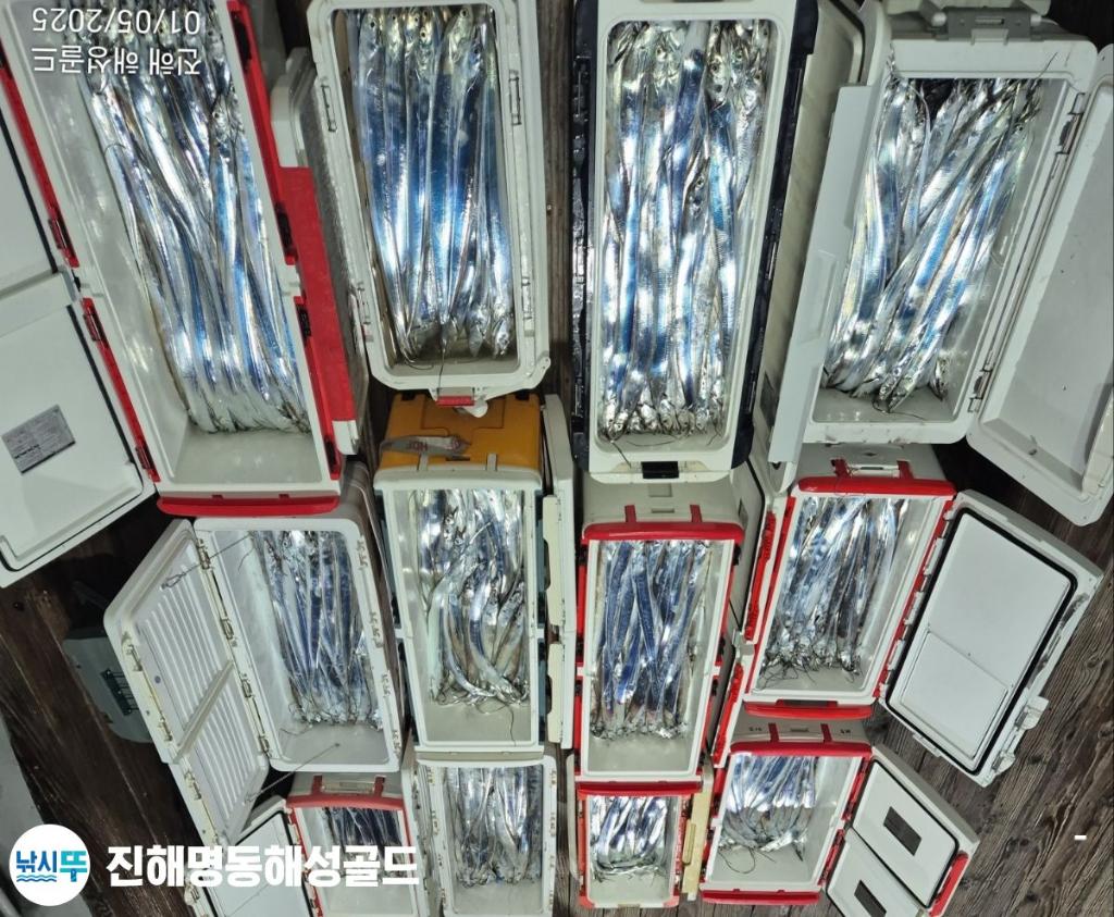 F2668145DS.jpg