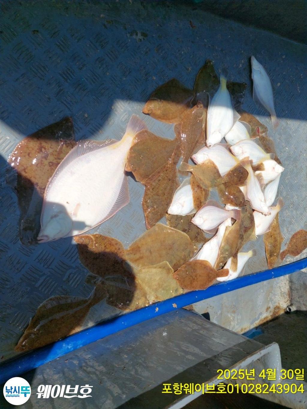 F2668212ZU.jpg