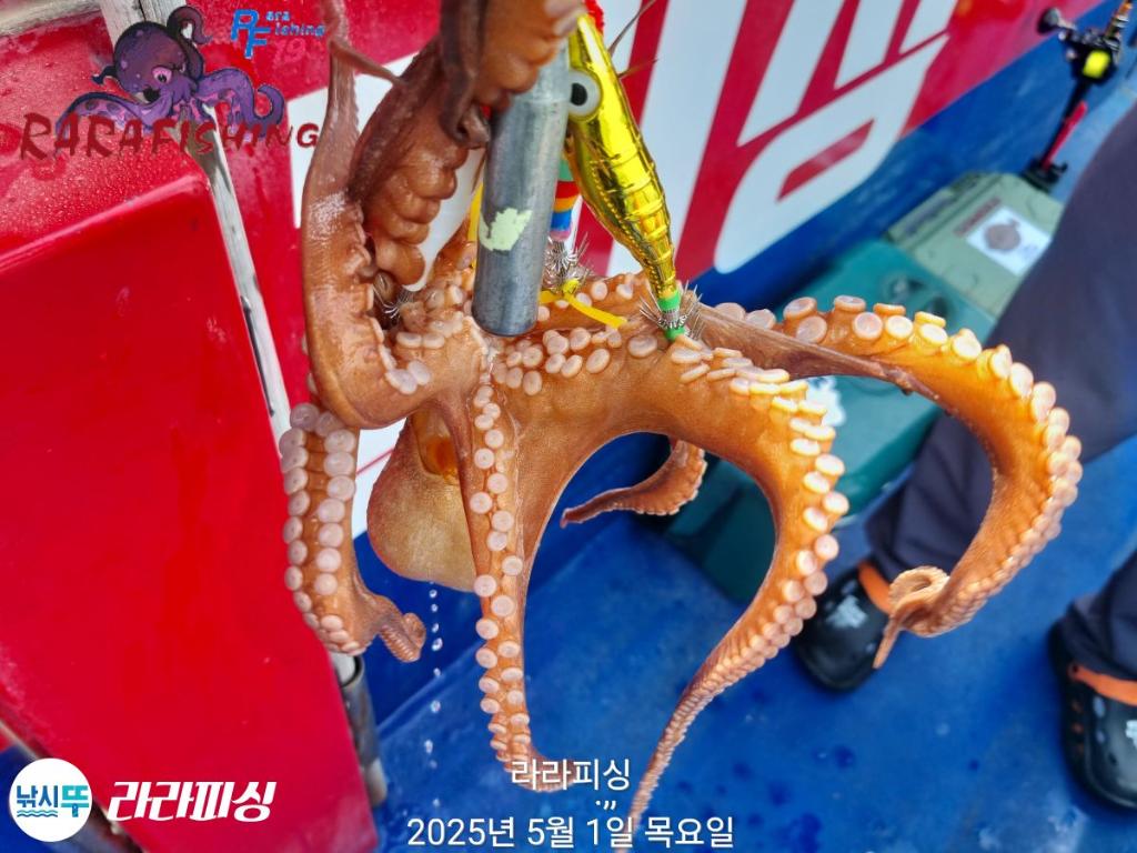 F26685421G.jpg