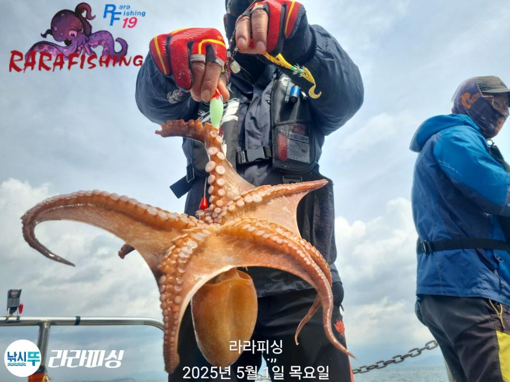 F2668547XU.jpg