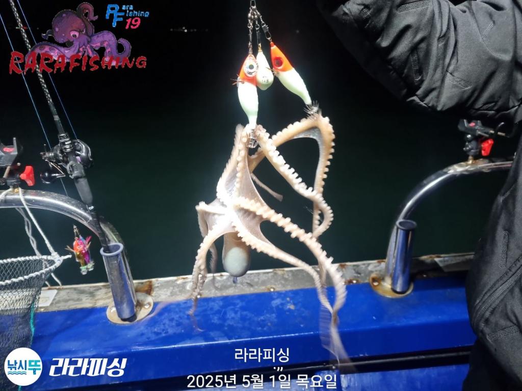 F26685586I.jpg