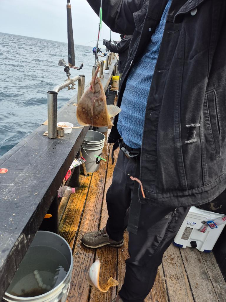 F2668613NX.jpg