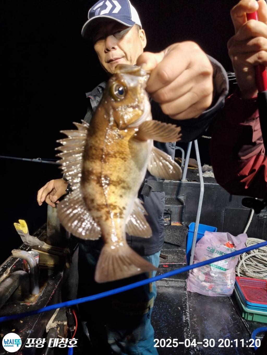F2668702W0.jpg
