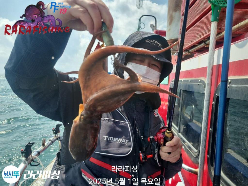 F2668923YS.jpg