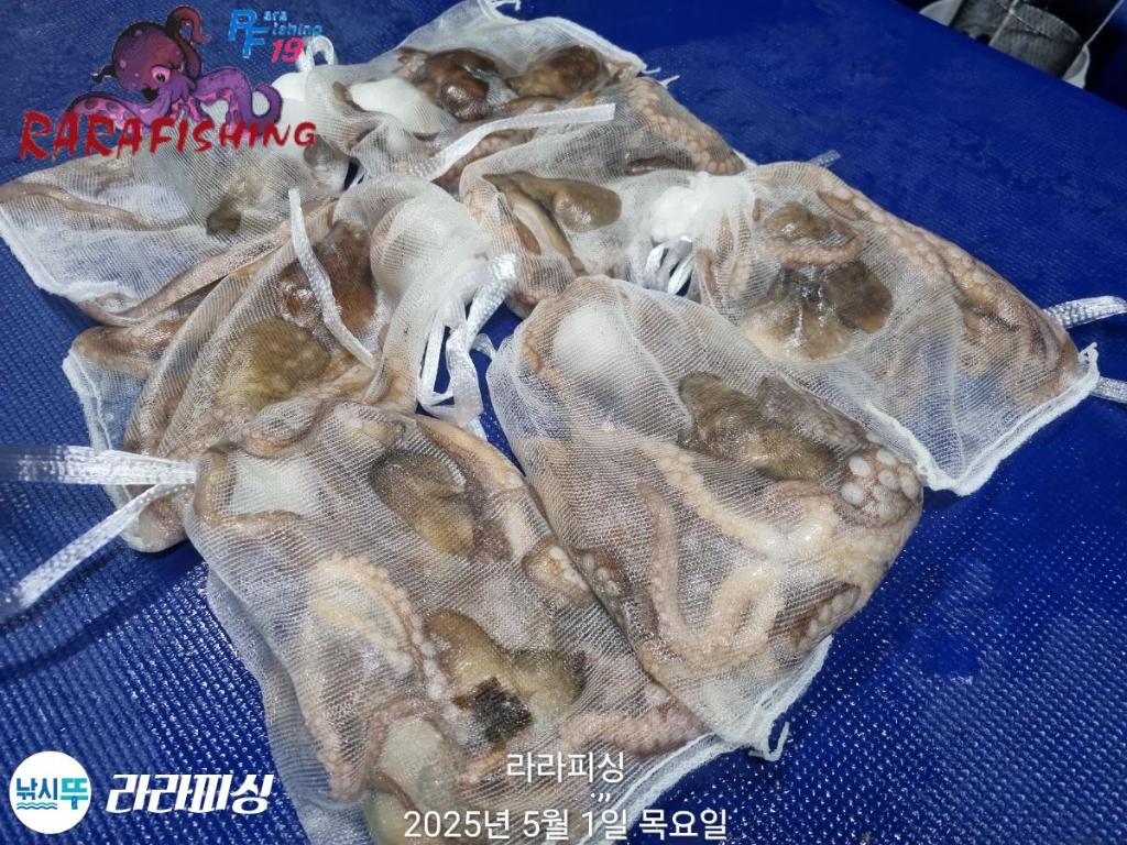 F2668931TE.jpg