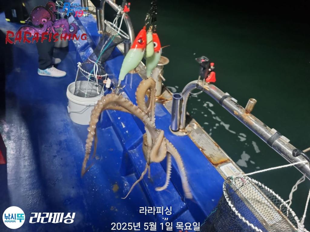 F2668934Q0.jpg