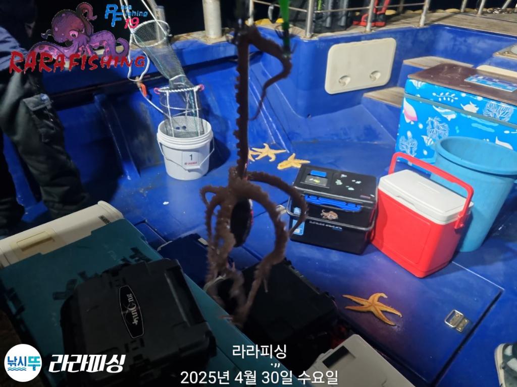 F26689389D.jpg