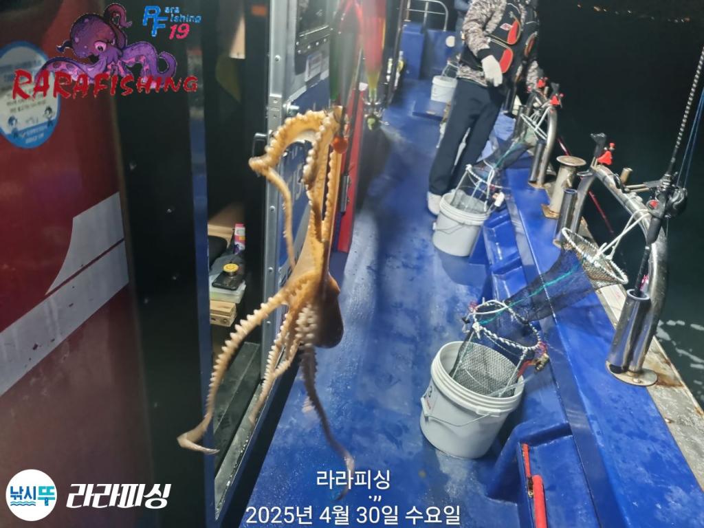 F2668940JA.jpg