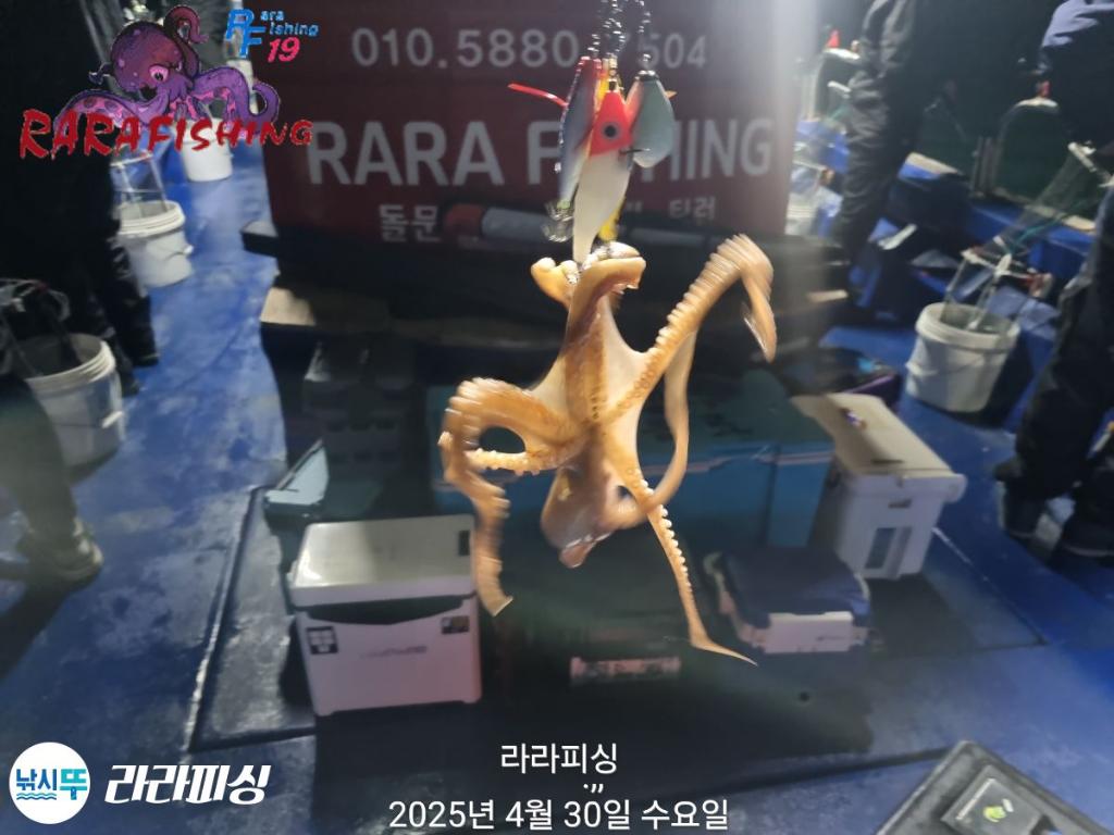 F266894391.jpg