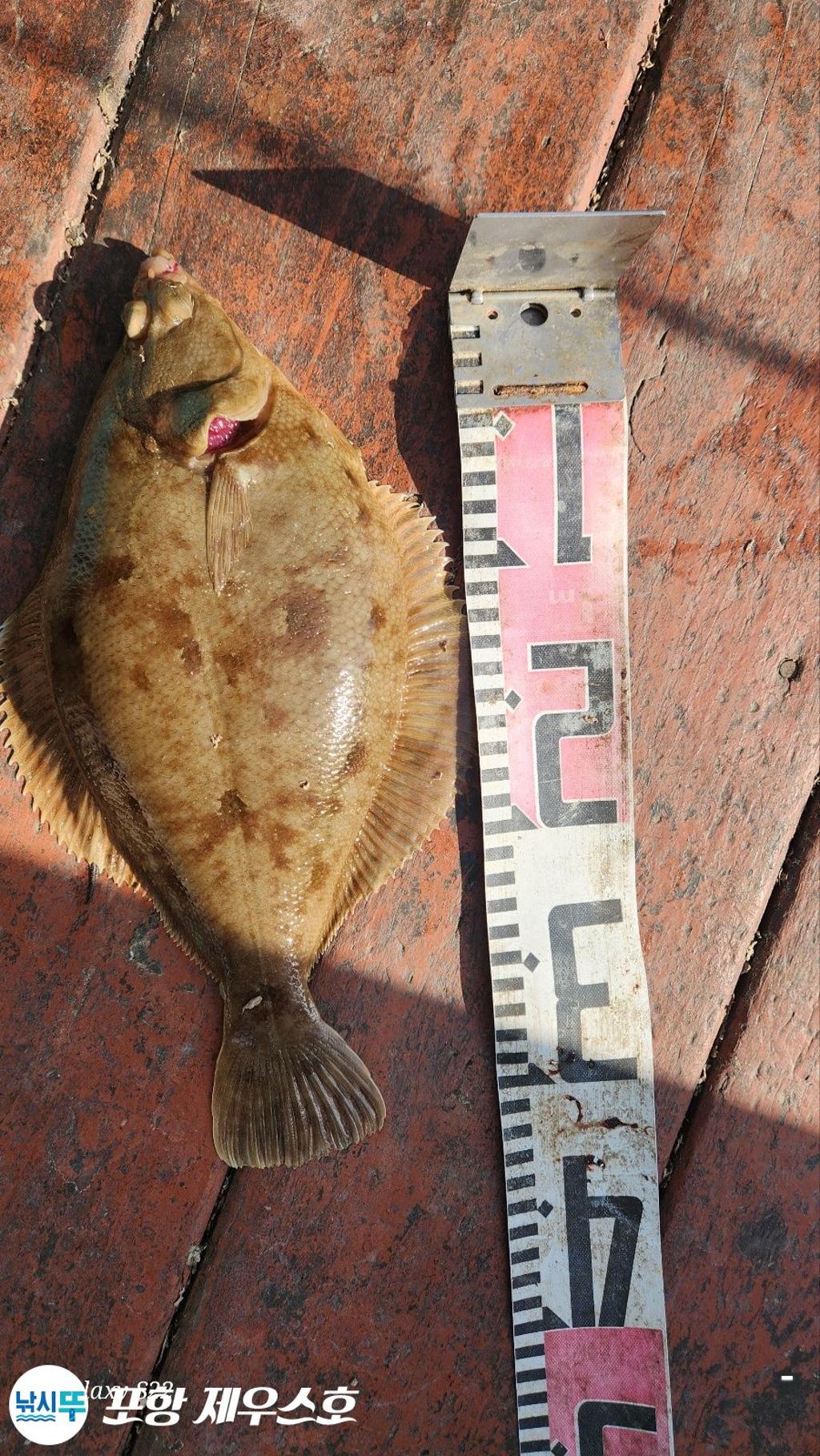 F2668999EB.jpg