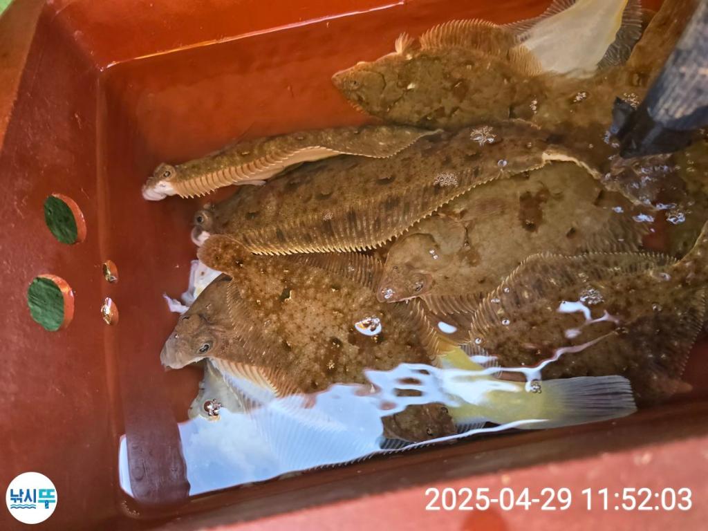 F2669220GV.jpg