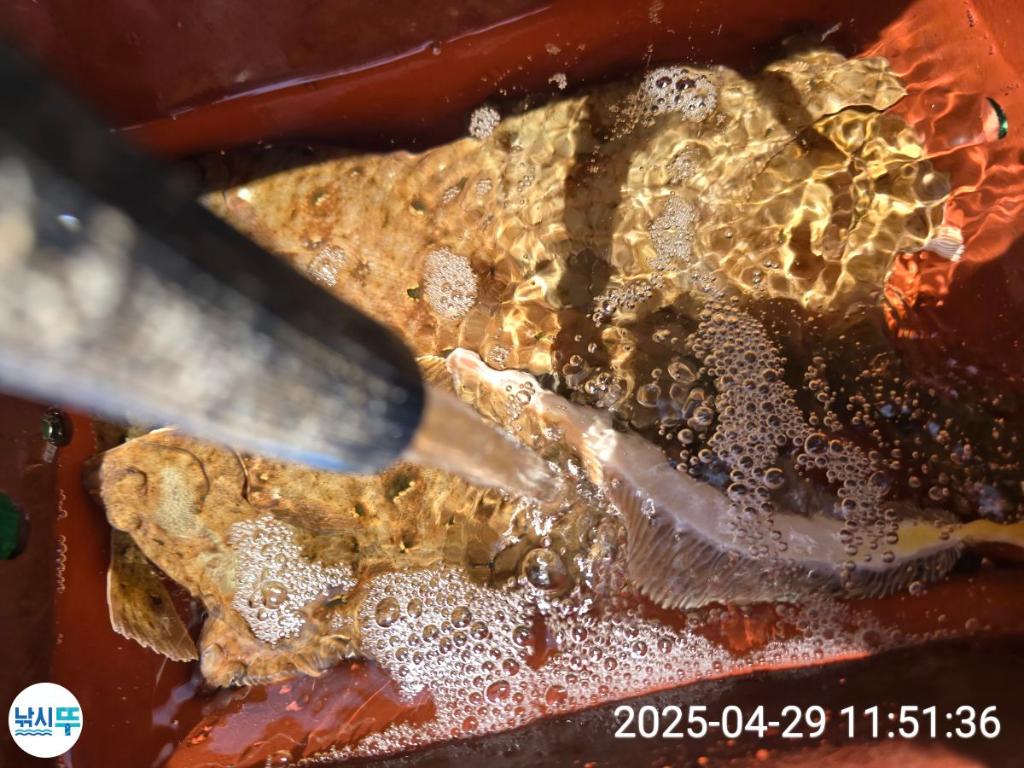 F2669225KX.jpg