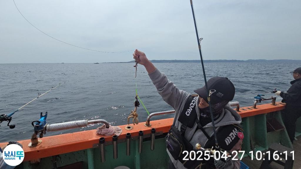 F2669236B2.jpg