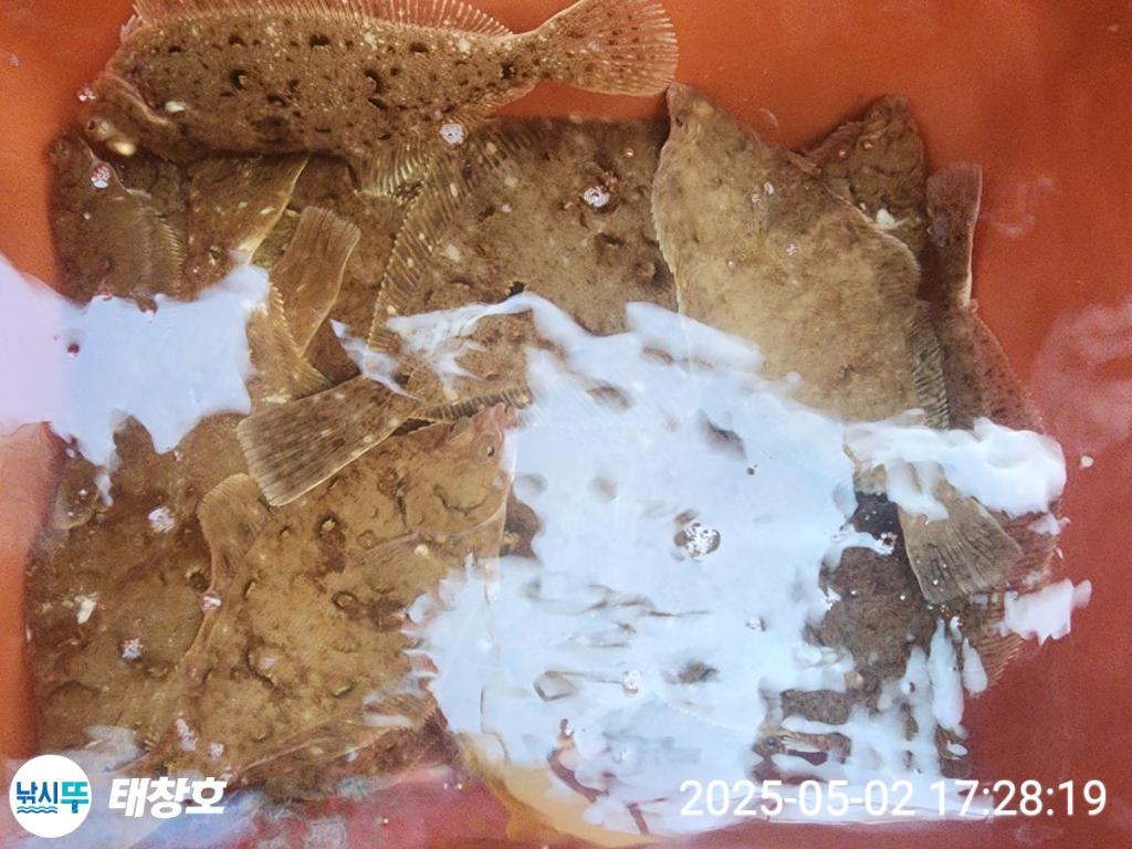 F2669296Q0.jpg