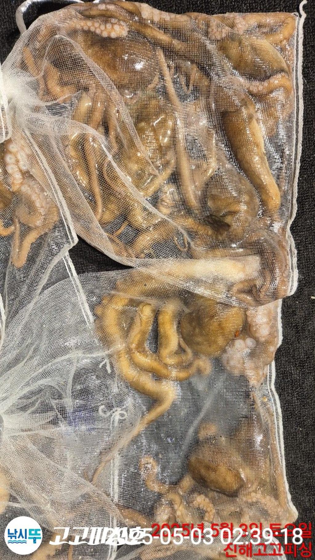 F2669410UT.jpg