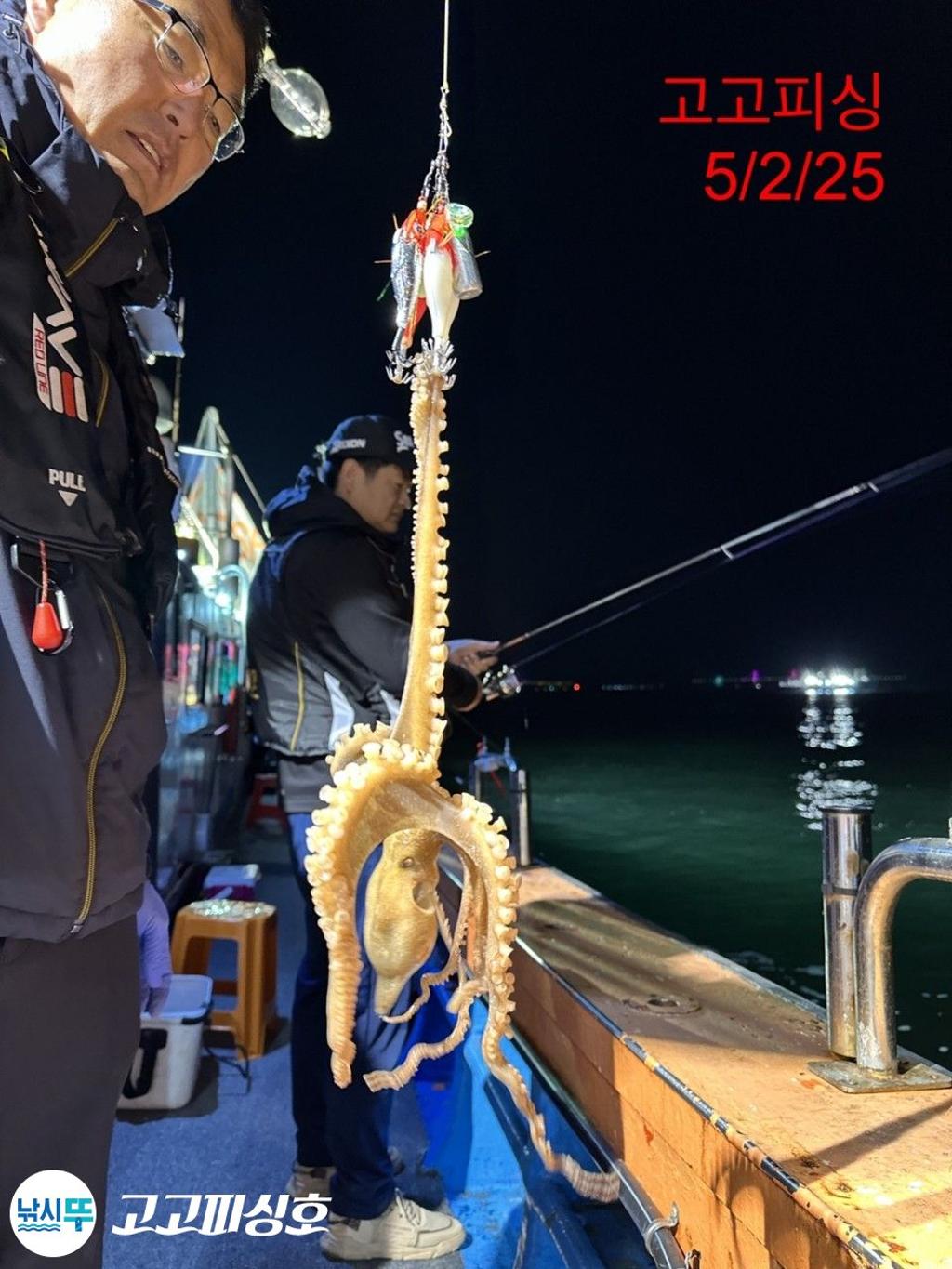F2669416CR.jpg