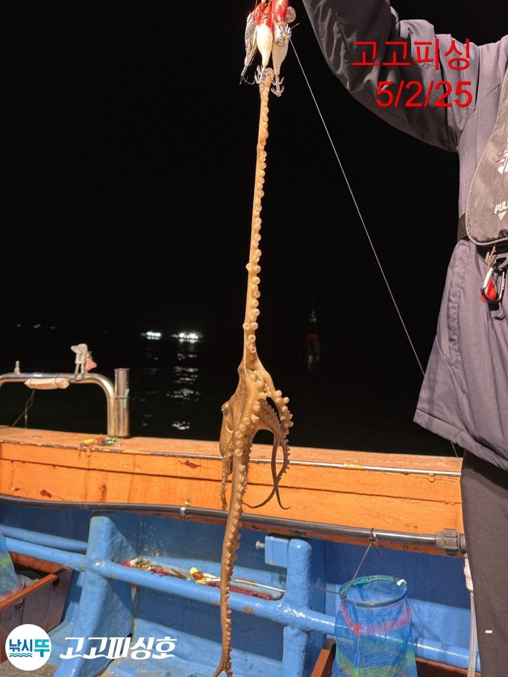 F2669417O3.jpg