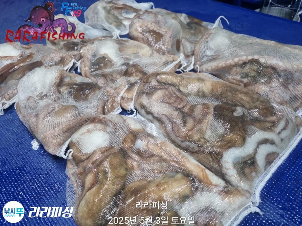 F2669436RC.jpg